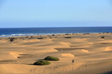 ünlü doğal maspalomas Beach kum tepeleri. Gran canaria. İspanya