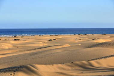 ünlü doğal maspalomas Beach kum tepeleri. Gran canaria. İspanya