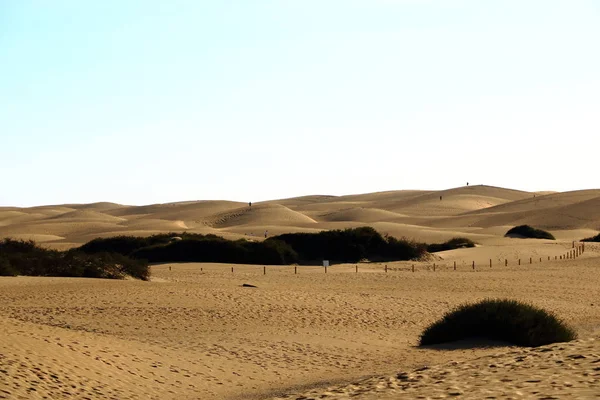 Písečné duny v slavné přírodní maspalomas beach. Gran canaria. Španělsko — Stock fotografie