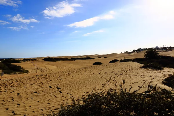 Písečné duny v slavné přírodní maspalomas beach. Gran canaria. Španělsko — Stock fotografie