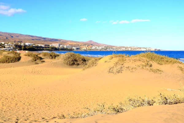 Dunas de arena en la famosa playa natural de Maspalomas. Gran Canaria. España —  Fotos de Stock