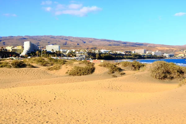 Sandiga dyner i berömda naturliga maspalomas-stranden. Gran canaria. Spanien — Stockfoto