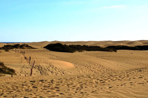 Písečné duny v slavné přírodní maspalomas beach. Gran canaria. Španělsko — Stock fotografie