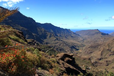 Gran Canaria 'da yeşil vadi Barranco de Mogan