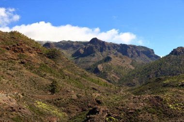 Gran Canaria 'da yeşil vadi Barranco de Mogan