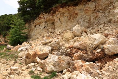 Girit, Yunanistan ve Avrupa'da düşen tehlike