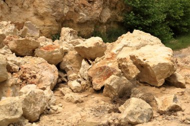 Girit, Yunanistan ve Avrupa'da düşen tehlike