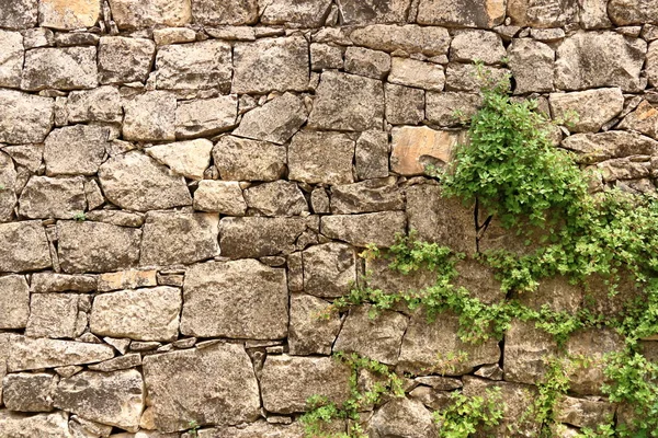 Taş tuğladan büyük sarı duvar