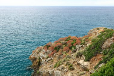 Preveli'de Nehir ve palmiye ormanı çevresinde manzara, Güney Girit, Yunanistan