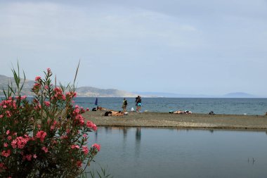 Preveli'de Nehir ve palmiye ormanı çevresinde manzara, Güney Girit, Yunanistan