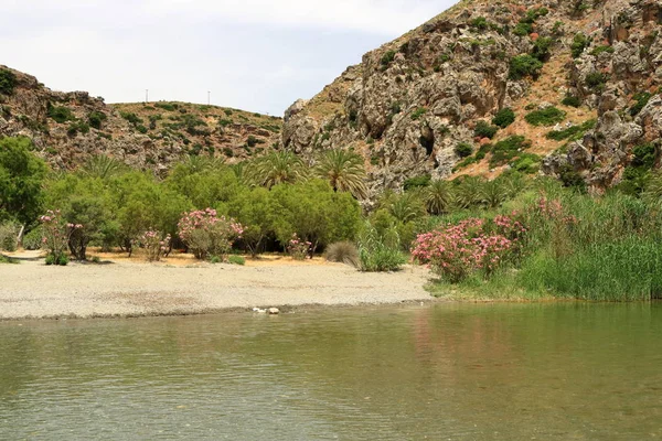 View around River and palm forest at Preveli, southern Crete, Greece — стоковое фото