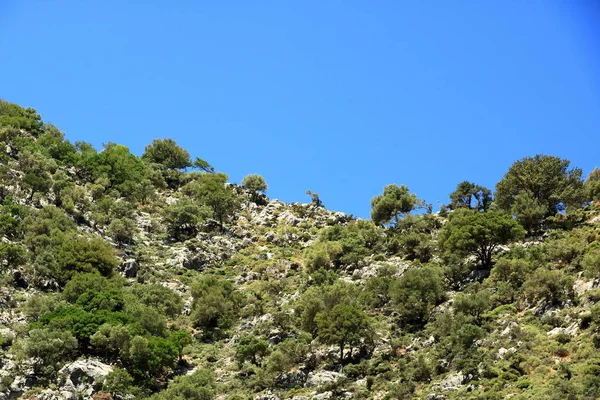 Percorso nelle gole di Kollita (Moudriano, Poros, gola di Moundros), Creta, Grecia — Foto Stock