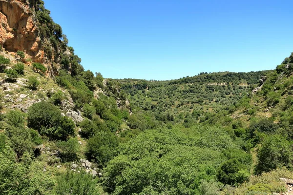 コリータ渓谷のトレイル(ムドリアーノ、ポロス、ムドロス渓谷)、クレタ島、ギリシャ — ストック写真
