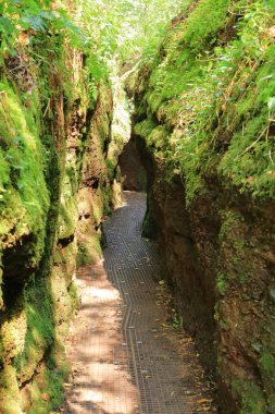 Eisenach, Thüringen, Almanya 'daki Drachenschlucht kanyonuna giderken.