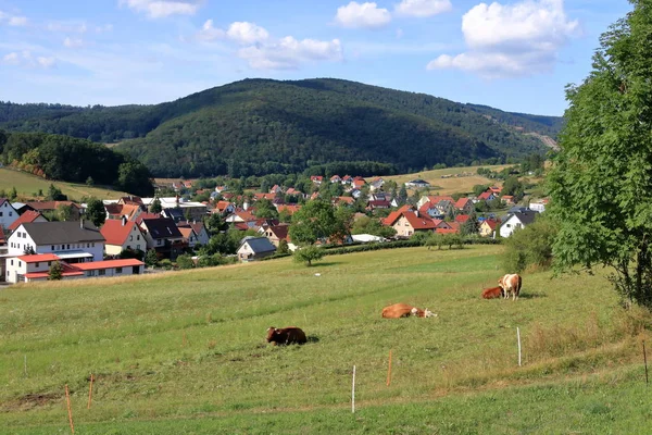 Vue sur le petit village de Struth-Helmershof en Thuringe — Photo