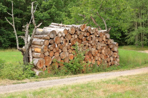 Pila de madera apilada para secar en la pila de madera en el prado verde — Foto de Stock