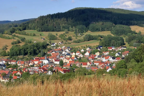 Widok na małą wioskę Struth-Helmershof w Turyngii — Zdjęcie stockowe