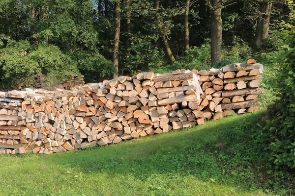 Pile de bois empilée pour sécher dans la pile de bois sur la prairie verte — Photo