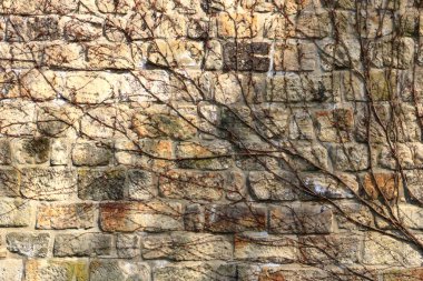 Vintage grunge kumtaşı blokları duvar dokusu.