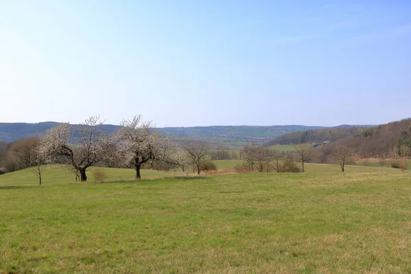 Uma Paisagem Rural Idílica Ensolarada Com Campos Prados Alemanha — Fotografia de Stock