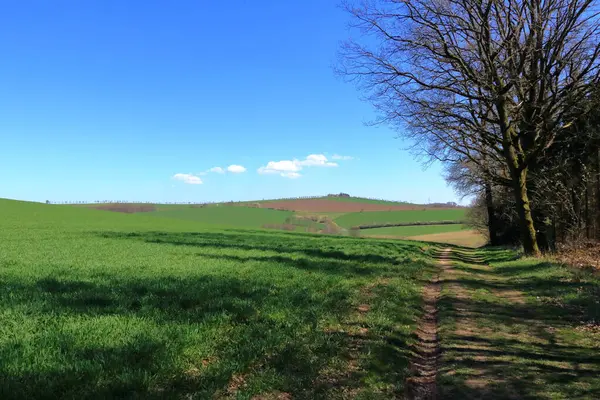 Paisaje Rural Idílico Soleado Con Campos Prados Alemania — Foto de Stock