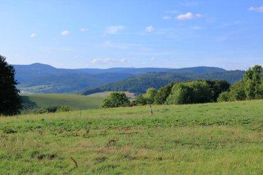 Almanya, Rennsteig 'deki Yürüyüş Yolu' ndaki Büyük Inselsberg Kulesi.
