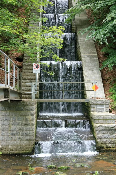 Fjällälv Skogen Med Vattenfall Och Betongmur Nära Dresden — Stockfoto