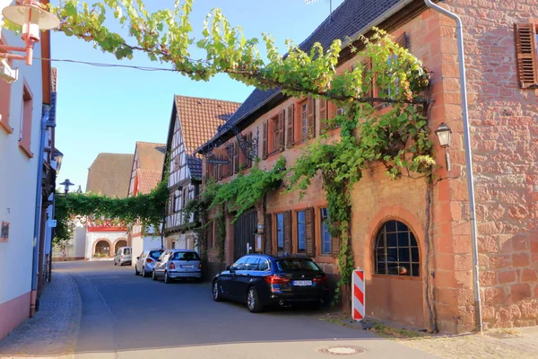 Julio 2020 Ilbesheim Alemania Una Ciudad Suroeste Alemania Rheinland Pfalz —  Fotos de Stock