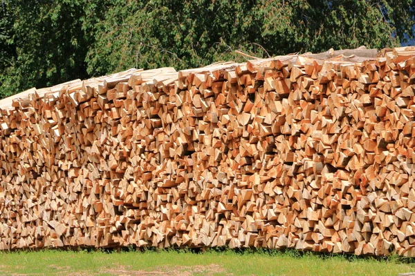 Une Pile Billes Épinette Fraîchement Récoltées Des Troncs Arbres Coupés — Photo