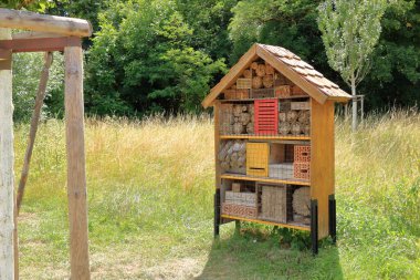 Vahşi bir arı ve böcek barınağı oteli.