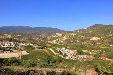Agios Amvrosios yakınlarındaki Troodos Dağları 'nın yamaçlarındaki üzüm bağları. Kıbrıs 'ta güneşli bir yaz günü.