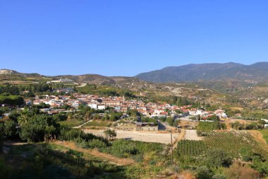 Agios Amvrosios yakınlarındaki Troodos Dağları 'nın yamaçlarındaki üzüm bağları. Kıbrıs 'ta güneşli bir yaz günü.