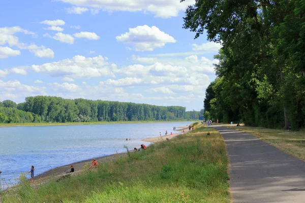 2020 Germersheim 라인강에서 수영하며 휴식을 취하는 사람들 — 스톡 사진