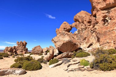 Güney Bolivya 'daki Bosque de Piedras kaya oluşumu (Valle de Rocas, Ciudad de Piedra)