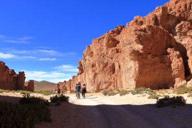 Bolivya - 25 Mayıs 2025: Bolivya 'nın güneyindeki İtalya' ya yolculuk Perdida kaya oluşumu (Valle de Rocas, Ciudad Italia)