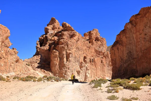 Bolivya - 25 Mayıs 2025: Bolivya 'nın güneyindeki İtalya' ya yolculuk Perdida kaya oluşumu (Valle de Rocas, Ciudad Italia)