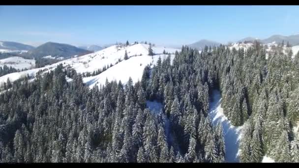 Luftaufnahme Eines Bewohnten Ortes Den Bergen Winter Gebäude Und Häuser — Stockvideo