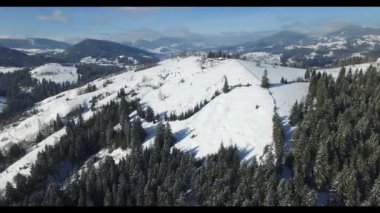 Karpatlar 'daki kış parkının hava aracı görüntüsü soğuk bir günde yukarıdan çekiliyor.