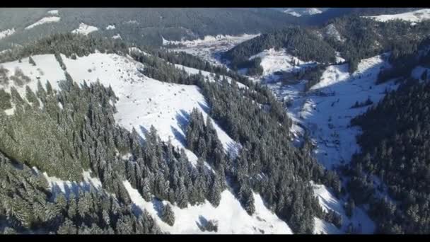カルパチア山脈の冬の公園の空中ドローン撮影は寒い日に飛行ビデオカメラで上から撮影 — ストック動画