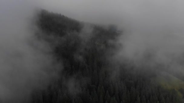 Vista Aérea Montaña Hermoso Bosque Nubes Mañana Después Lluvia — Vídeo de stock