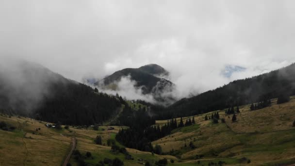 Fliegen Über Einen Erstaunlichen Regenwald Und Ein Feld Über Dem — Stockvideo