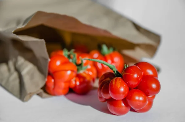 ugly tomatoes variety voyage in a paper bag