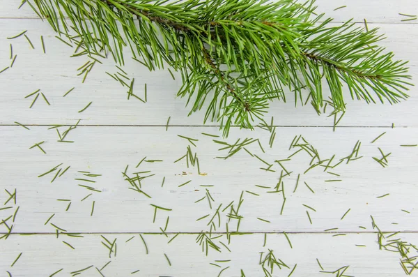 owl branch and crumbled needles on a white background