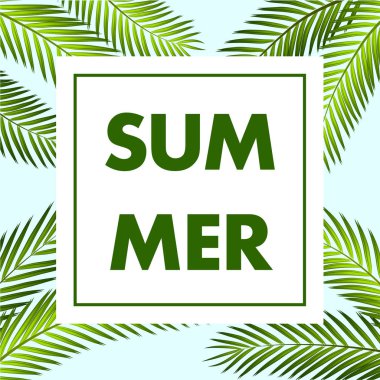 Palmiye yaprağı vektör arka plan