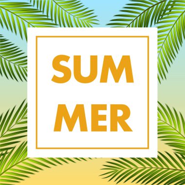 Palmiye yaprağı vektör arka plan