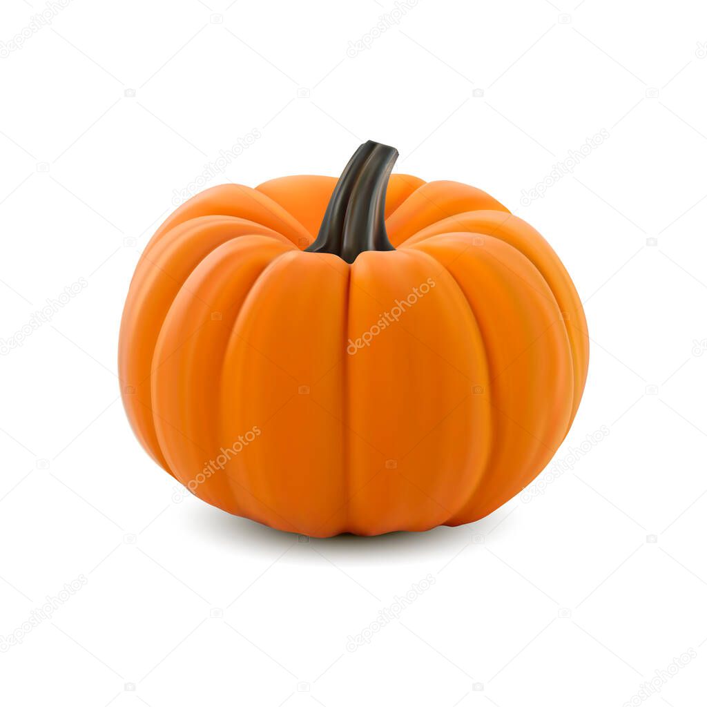 Realistic vector pumpkin isolated on white background