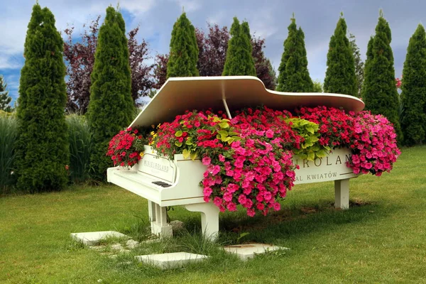 Flower Festival Amaizing Piano — Stock Photo, Image