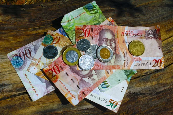 South african countries banknotes and coins for background. Bots