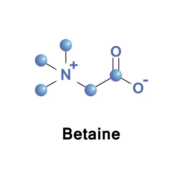 Betaína compuesto químico neutro — Vector de stock