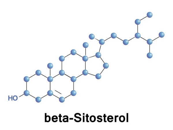 Beta Sitosterol fitosterol — Stok Vektör